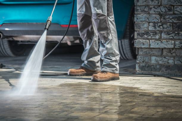 Best Soft Washing  in Clendenin, WV