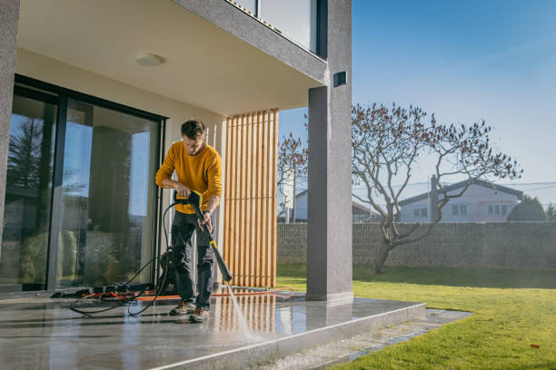 Best Pre-Holiday Cleaning  in Clendenin, WV